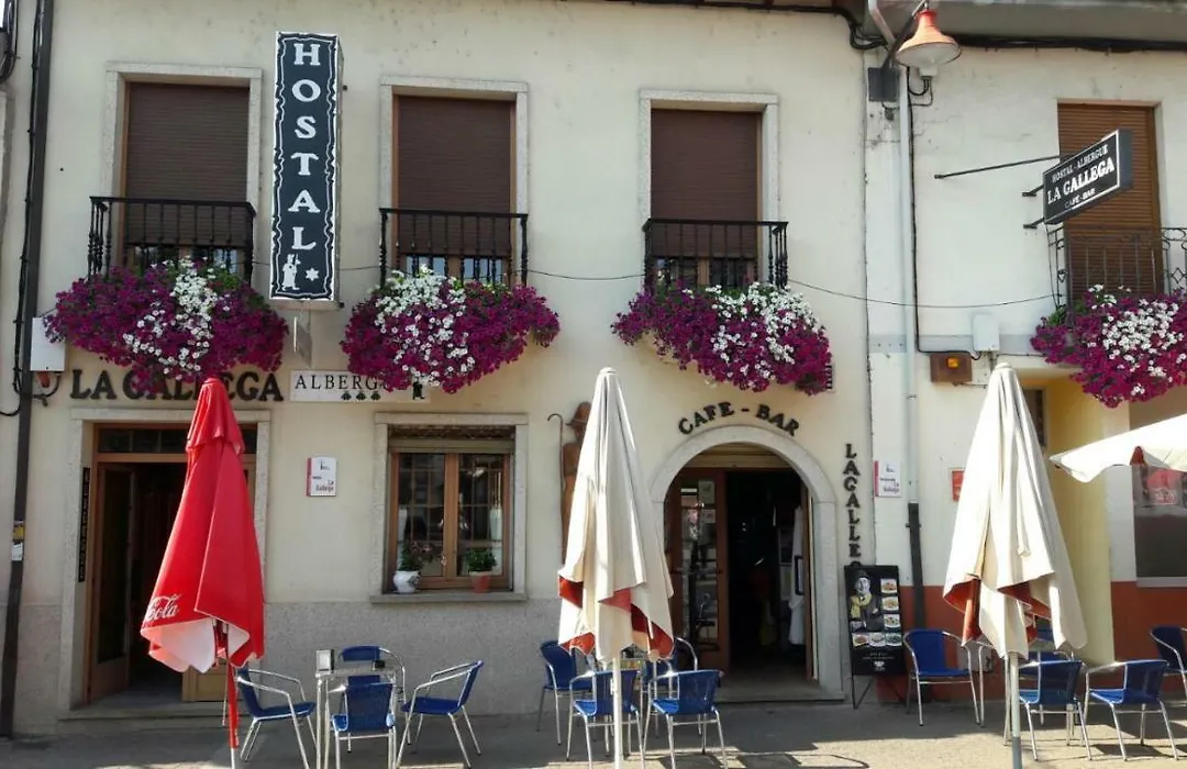 La Gallega-1